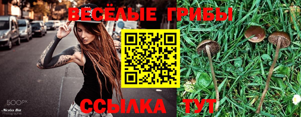 Псилоцибиновые грибы мицелий Мариинск