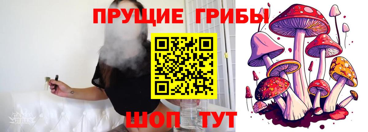Псилоцибиновые грибы Psilocybine cubensis  Вход с VPN  Мариинск  Галлюциногенные грибы Cubensis 